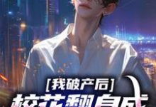 主角是陈述苏晴晚的小说我破产后，校花翻身成总裁要养我？在哪免费看-筷子文学