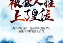 被追杀的我，被敌人推上了皇位热门小说(夏天司马兰)在线阅读无弹窗-筷子文学