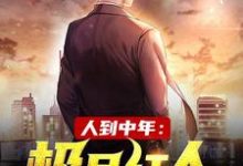 人到中年：极品红人完结版赵腾金露儿免费阅读大结局-筷子文学