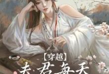 穿越:夫君每天都在争风吃醋无弹窗沈夏多夫最新章节列表-筷子文学
