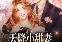 天降小甜妻:偏执大佬抱着哄免费阅读,徐蓁沈凌风大结局无弹窗-筷子文学