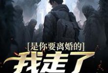 是你要离婚的，我走了你又哭？小说最新章节在哪里可以免费看-筷子文学