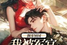 飘零异国，我被军官强制爱热门小说(孟喃枝纪恙)在线阅读无弹窗-筷子文学