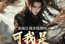 林辰程平安在线阅读，系统让我开枝散叶，可我是太监啊？小说完结版章节-筷子文学