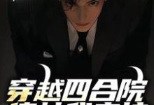 主人公是何大清的小说穿越四合院，傻柱我来护免费阅读-筷子文学