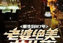 重生到87年，老婆绝美女儿萌精彩章节在线免费阅读（陆浩苏敏）-筷子文学
