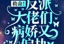主角是盛暖的小说救命！反派大佬们病娇又偏执在哪免费看-筷子文学