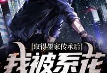 主角是陈瀚宁欣楠的小说取得墨家传承后，我被系花盯上了在哪免费看-筷子文学