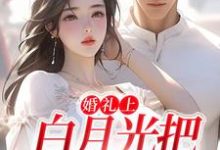 沈矜陈槿之最新章节婚礼上，白月光把男友截胡了免费阅读-筷子文学