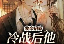 致命招惹：冷战后他靠撒娇求和免费阅读，李书妤许况大结局无弹窗-筷子文学