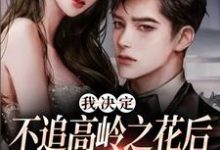 樊璐陆斯钦在线阅读，我决定不追高岭之花后，他急了小说完结版章节-筷子文学