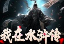 完结版我在水浒传里收拢好汉在哪免费看，王伦小说在线阅读-筷子文学