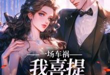 陈芸赵乾志最新章节列表一场车祸，我喜提妻女一双？免费阅读-筷子文学