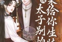 系统：太子别怕，我来给你生娃了最新章节系统：太子别怕，我来给你生娃了在线阅读-筷子文学