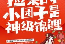 捡来的小团子是神级锦鲤精彩章节在线免费阅读（谭七月）-筷子文学