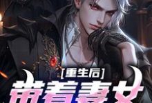求助这本重生后带着妻女疯狂捞金小说在哪里可以看完结版-筷子文学
