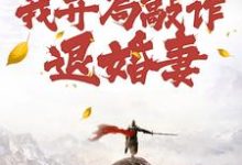 穿到修仙界,我开局敲诈退婚妻(主角顾风)完结版免费阅读-筷子文学