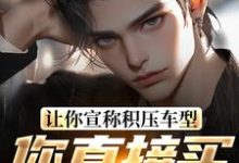 让你宣称积压车型,你直接买脱销?免费阅读,苏晨大结局无弹窗-筷子文学