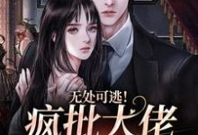 无处可逃！疯批大佬强制爱无弹窗姜亦乔最新章节列表-筷子文学