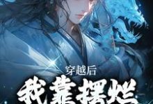 主人公是林阳白幼薇的小说穿越后，我靠摆烂咸鱼大翻身免费阅读-筷子文学