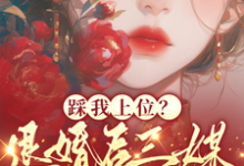 主人公是阮月见萧樾的小说踩我上位?退婚后三媒六聘嫁他哥免费阅读-筷子文学