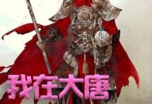 我在大唐卖军火无弹窗方二程咬金小青最新章节列表-筷子文学