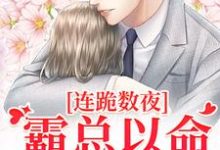 小说连跪数夜，霸总以命换我重生主角夏晚南枭免费阅读-筷子文学