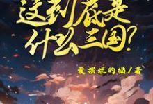 主角是陈默的小说这到底是什么三国在哪免费看-筷子文学