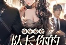 小说疯狂爱意：队长你的媳妇跑路啦主角秦凛杨婂免费阅读-筷子文学
