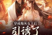 踹掉言情男主，勾搭男频帝王热门小说(沈毓灵权明赫)在线阅读无弹窗-筷子文学