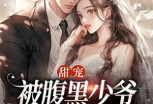甜宠：被腹黑少爷藏起来的娇宝免费阅读，沈初棠时承煜大结局无弹窗-筷子文学