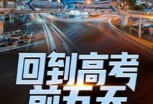 跪求主角是宁辉周南丰白雪的小说书名叫什么-筷子文学