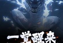 女尊人夫：被逆徒强推的白衣剑仙免费阅读，叶尘渊江月寒大结局无弹窗-筷子文学