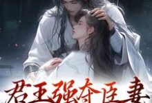 小说君王强夺臣妻,只为惊鸿一面主角陆妧夕尉迟璟免费阅读-筷子文学