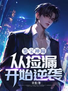 齐鸣陈雅小说免费阅读最新章节列表，鉴宝神瞳：从捡漏开始逆袭小说在线看