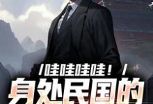 哇哇哇哇！身处民国的我变大佬精彩章节阅读(苏墨)免费阅读大结局-筷子文学