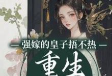 沈安安小说免费阅读最新章节列表，强嫁的皇子捂不热，重生她不要了小说在线看-筷子文学