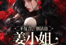 主人公是顾衍泽苏辞心的小说不复合,别沾边,姜小姐又美又飒免费阅读-筷子文学
