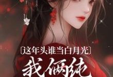这年头谁当白月光,我俩纯纯走剧情热门小说(温沅李昭)在线阅读无弹窗-筷子文学