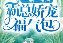 一胎三宝后，霸总娇宠福气包免费阅读(陆北城江如意)小说免费读最新章节-筷子文学