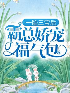 一胎三宝后，霸总娇宠福气包免费阅读(陆北城江如意)小说免费读最新章节