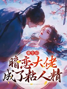 重生后，暗恋大佬成了粘人精（主角林诗诗陆昶）完结版免费阅读