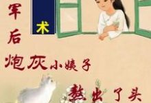 姐随军后,炮灰小姨子熬出了头(吴妮妮叶泽川)完结版免费阅读-筷子文学