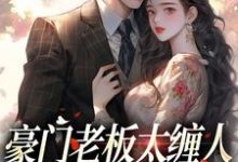 豪门老板太缠人，为她折腰为她疯（沈雾徐宴行）最新章节在线阅读-筷子文学
