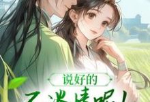 说好的不谈情呢!王爷请自制完结版风潇潇陆舟渊免费阅读大结局-筷子文学