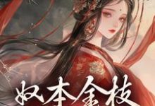 小说奴本金枝，誓不为妾主角沈玉铮温云致免费阅读-筷子文学