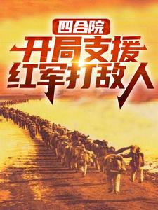 主人公是赵玉尚慧敏的小说四合院：开局支援红军打敌人免费阅读