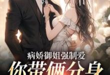 病娇御姐强制爱，你带俩分身过分了免费阅读，江辞大结局无弹窗-筷子文学