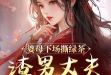 求助这本婆母下场撕绿茶,渣男丈夫被赶出家小说在哪里可以看完结版-筷子文学