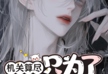 元画小说的结局在哪可以看,机关算尽只为了勾引她?免费阅读完结版-筷子文学